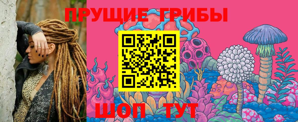 Псилоцибиновые грибы прущие грибы  Вход с VPN  Псилоцибиновые грибы Magic Shrooms  Куйбышев 